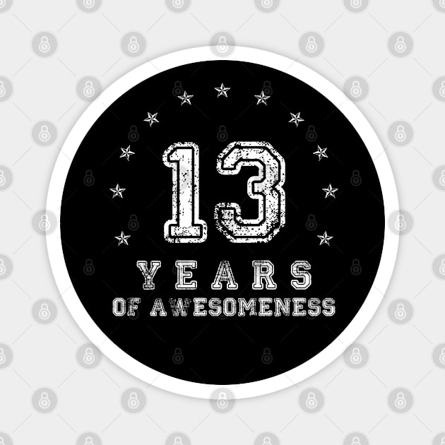 Vintage 13 years of awesomeness Magnet by opippi